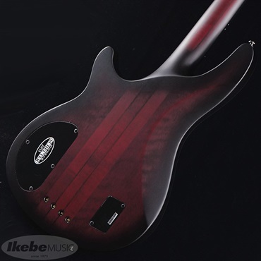 SCHECTER HELLRAISER EXTREME-4 [AD-HR-EX-BASS-4] (CRBS) 画像4