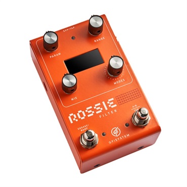 GFISYSTEM ROSSIE FILTER（ジーエフアイシステム）フィルター 画像1