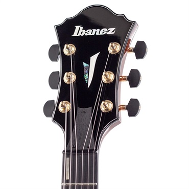 Ibanez ARTSTAR AFC151-DA 画像3
