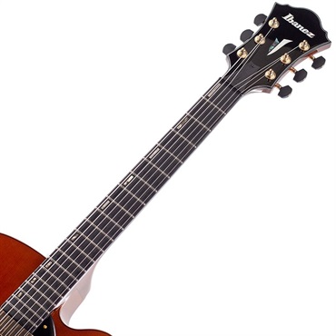 Ibanez ARTSTAR AFC151-DA 画像4