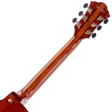 Ibanez ARTSTAR AFC151-DA 画像5