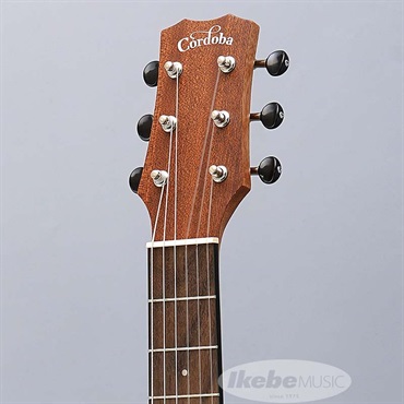 Cordoba MINI II MH 【ミニギター】 コルドバ 画像4