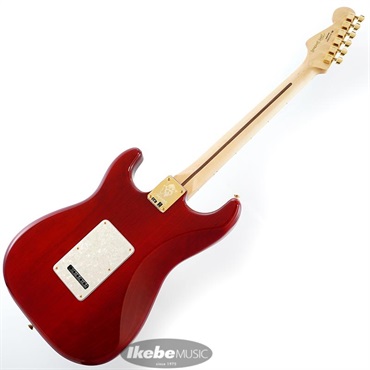 Fender MEX Tash Sultana Stratocaster [Made In Mexico] 画像2