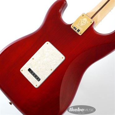 Fender MEX Tash Sultana Stratocaster [Made In Mexico] 画像7