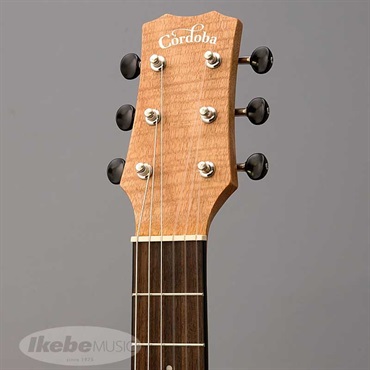 Cordoba Mini II FMH 【ミニギター】コルドバ 画像4