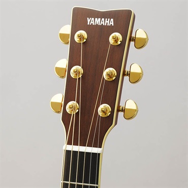 YAMAHA LL16 ARE (Natural) [SLL16ARE] ヤマハ 画像7
