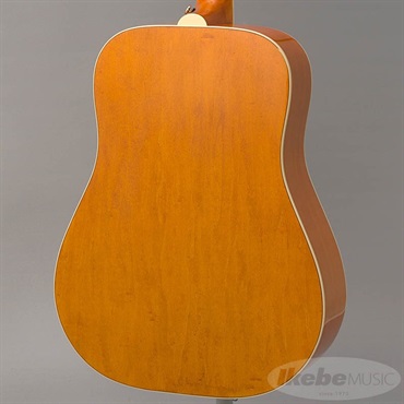Epiphone 【数量限定エピフォン・アクセサリーパックプレゼント】DOVE Studio (Violinburst) エピフォン 画像1