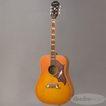 Epiphone 【数量限定エピフォン・アクセサリーパックプレゼント】DOVE Studio (Violinburst) エピフォン 画像2