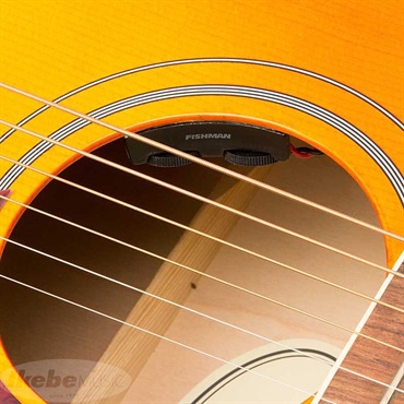 Epiphone 【数量限定エピフォン・アクセサリーパックプレゼント】DOVE Studio (Violinburst) エピフォン 画像6