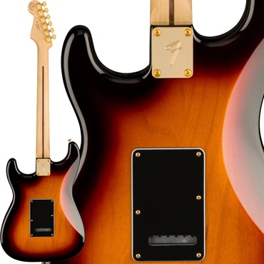 Fender MEX Player Stratocaster Gold Hardware with C/S Fat 50s Pickups (3-Color Sunburst/Pau Ferro) 画像1