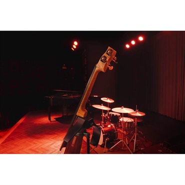YAMAHA SLB300 PRO [SILENT Bass] 画像5