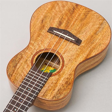 BIG ISLAND U-MO-CTS Mango Concert ビッグアイランド 画像4