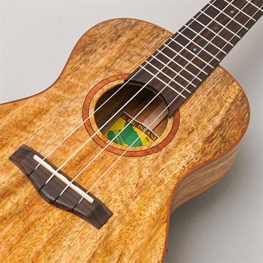 BIG ISLAND U-MO-CTS Mango Concert ビッグアイランド 画像6