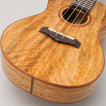 BIG ISLAND U-MO-CTS Mango Concert ビッグアイランド 画像7