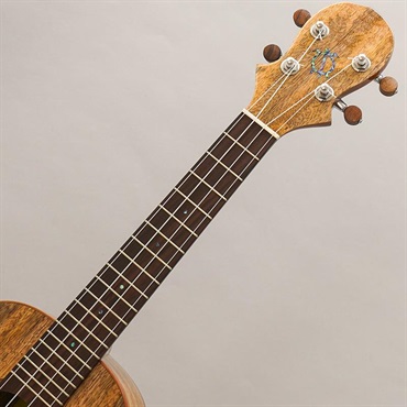 BIG ISLAND U-MO-CTS Mango Concert ビッグアイランド 画像8