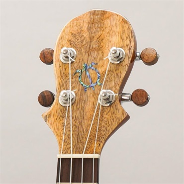 BIG ISLAND U-MO-CTS Mango Concert ビッグアイランド 画像10