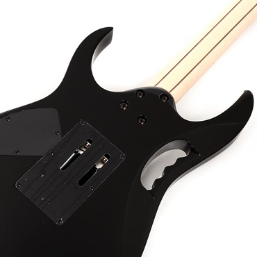 Ibanez JEM77P-BFP [Steve Vai Signature Model] 画像5