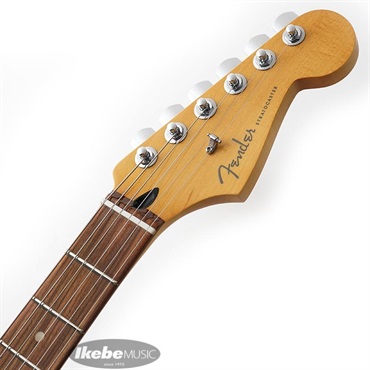 Fender MEX Player Plus Stratocaster (Aged Candy Apple Red /Pau Ferro) 画像8