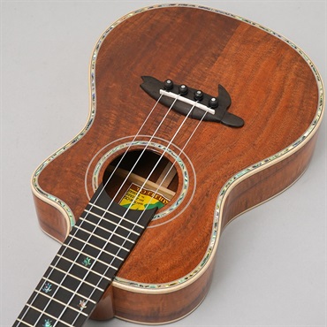BIG ISLAND KSX-CTG ビッグアイランド 画像4