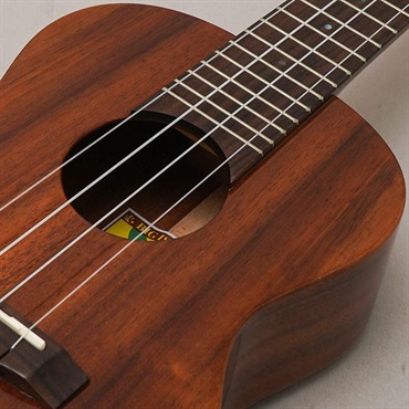 BIG ISLAND KT-CTS ビッグアイランド 画像6