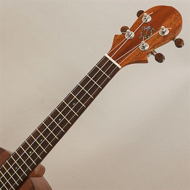 BIG ISLAND KT-CTS ビッグアイランド 画像8