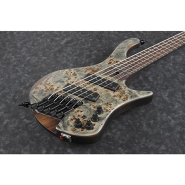 Ibanez Bass Workshop EHB1505MS-BIF [SPOT MODEL] 画像3