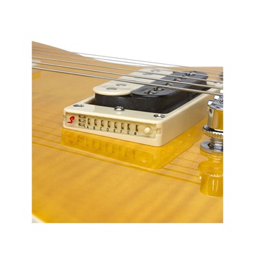 Epiphone Slash Appetite Les Paul Special-II 画像3