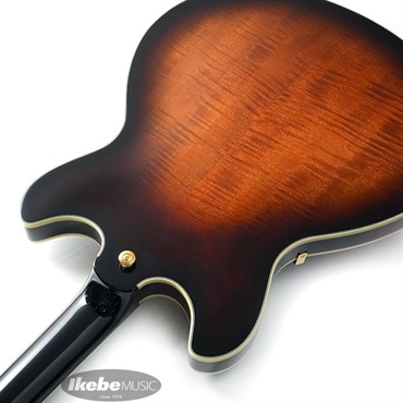 Ibanez JSM100-VT [John Scofield Signature Model] 画像6