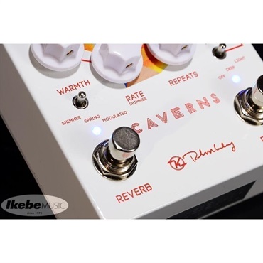 keeley Caverns Delay Reverb V2 画像3