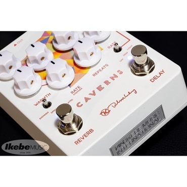 keeley Caverns Delay Reverb V2 画像5