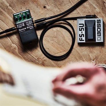 BOSS RE-2 [Space Echo] ディレイ ボス 画像7