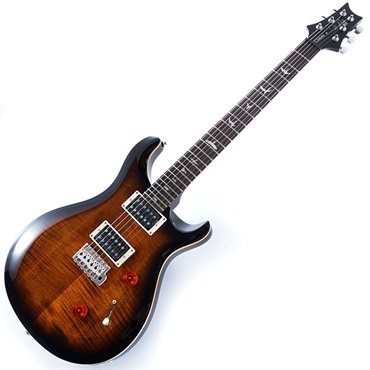 P.R.S. SE Custom 24 (Black Gold Burst) 画像1