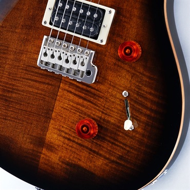 P.R.S. SE Custom 24 (Black Gold Burst) 画像4