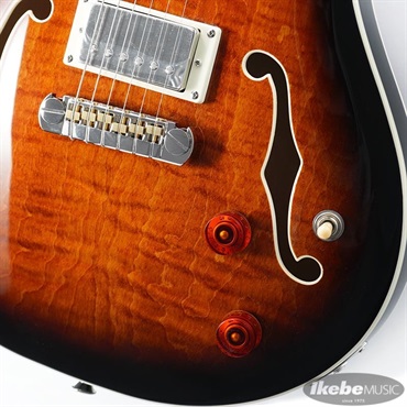 P.R.S. SE Hollowbody II (Black Gold Burst) 画像4