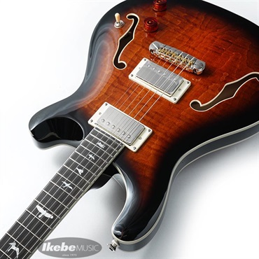 P.R.S. SE Hollowbody II (Black Gold Burst) 画像5