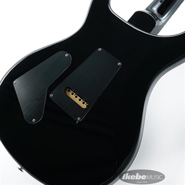 P.R.S. Custom24 Black #0334802 画像7