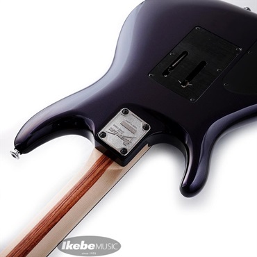 Ibanez JS2450-MCP [Joe Satriani Signature Model] 画像6