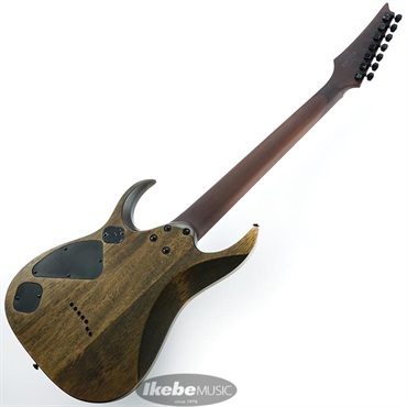 Ibanez RGD7521PB-DSF 画像2