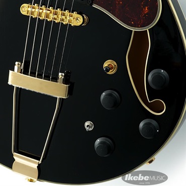 Ibanez Artcore Expressionist AMH90-BK 画像4