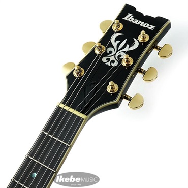 Ibanez Artcore Expressionist AMH90-BK 画像8