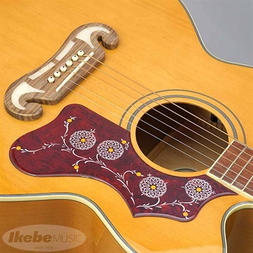 Epiphone 【数量限定エピフォン・アクセサリーパック・プレゼント】J-200EC Studio (Vintage Natural) エピフォン 画像7