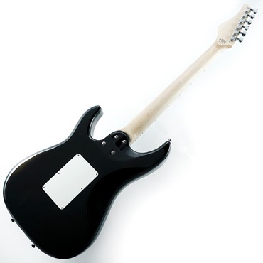 SCHECTER SD-2-24-AL (See-Thru Red/Maple) 画像2