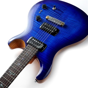 P.R.S. SE Paul's Guitar (Faded Blue Burst) 画像5
