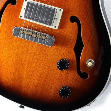 P.R.S. SE Hollowbody Standard (McCarty Tobacco Sunburst) 画像4