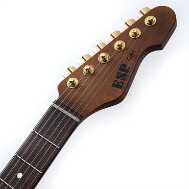 ESP Experimental Series SNAPPER-AS Driftwood Natural w/Black Filler 画像8