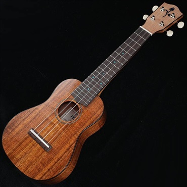 FUJIGEN FGN Acoustic Soprano FUS-TS フジゲン 画像1
