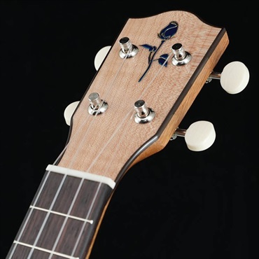 FUJIGEN FGN Acoustic Soprano FUS-TS フジゲン 画像4