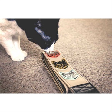 Couch Guitar Strap ニャン・ニャン・ニャン・マルチ [Cat Guitar Strap Multi Colored] 画像2