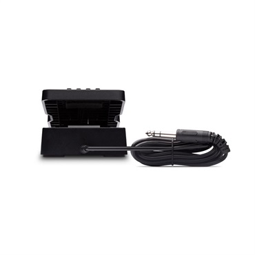 unknown AKAI Professional EXPRESSION PEDAL 画像1