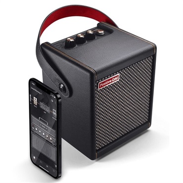 Positive Grid 【夏先取り大特価セール】Spark Mini（ポジティブ ポジティヴ グリッド） 画像2